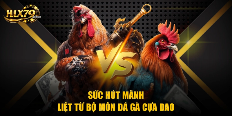 Sức hút mãnh liệt từ bộ môn đá gà cựa dao