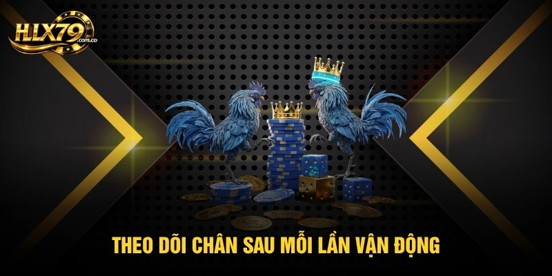 Theo dõi chân sau mỗi lần vận động Theo dõi chân sau mỗi lần vận động
