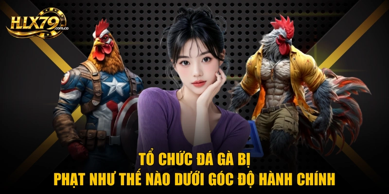 Tổ chức đá gà bị phạt như thế nào dưới góc độ hành chính