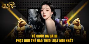 Tổ Chức Đá Gà Bị Phạt Như Thế Nào Theo Luật Mới Nhất