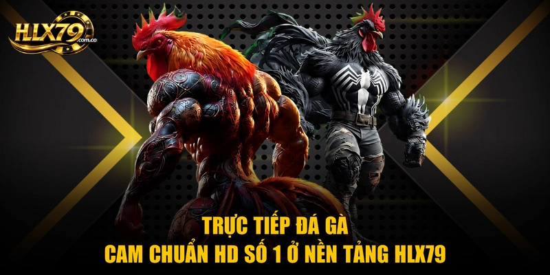Trực Tiếp Đá Gà Cam Chuẩn HD Số 1 Ở Nền Tảng Hlx79