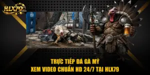 Trực Tiếp Đá Gà Mỹ - Xem Video Chuẩn HD 24/7 Tại Hlx79