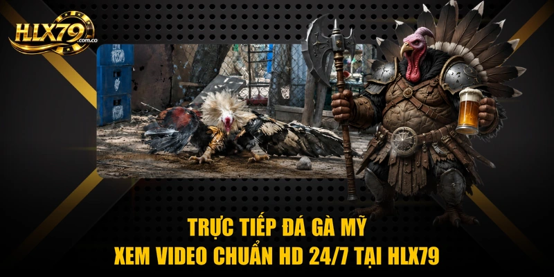Trực Tiếp Đá Gà Mỹ - Xem Video Chuẩn HD 24/7 Tại Hlx79