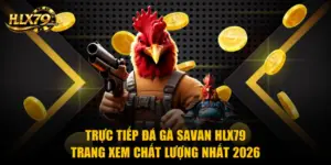 Trực Tiếp Đá Gà Savan Hlx79 – Trang Xem Chất Lượng Nhất 2026