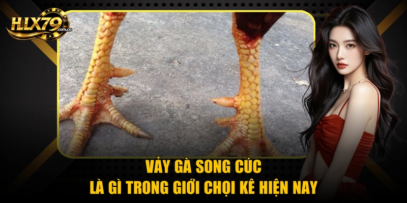 Vảy gà song cúc là gì trong giới chọi kê hiện nay