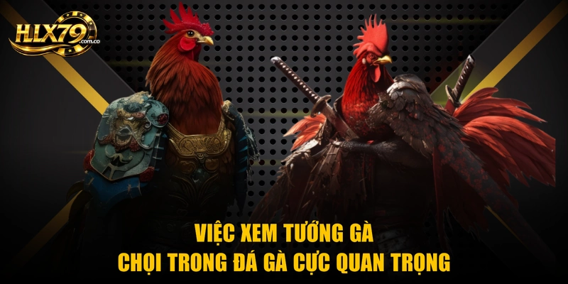 Việc xem tướng gà chọi trong đá gà cực quan trọng